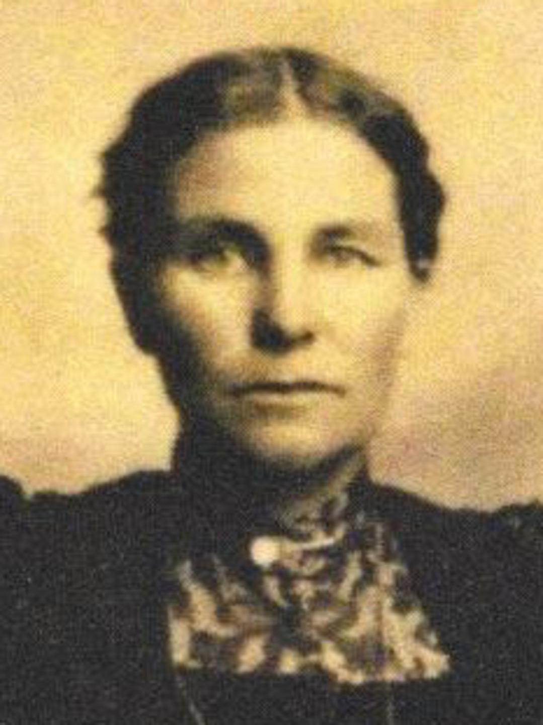 Lucy Edna Payne (1860 - 1943) Profile